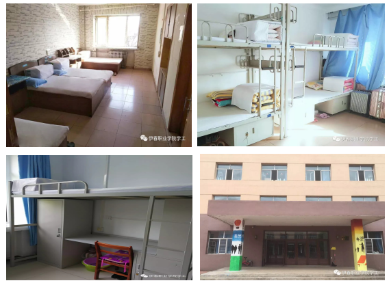 我校榮獲黑龍江省高校第二屆公寓文化節(jié)活動(dòng)優(yōu)秀成果二等獎(jiǎng)