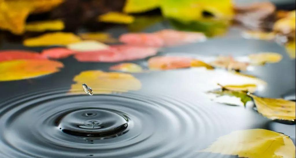 從容淡定_來自生活秩序感