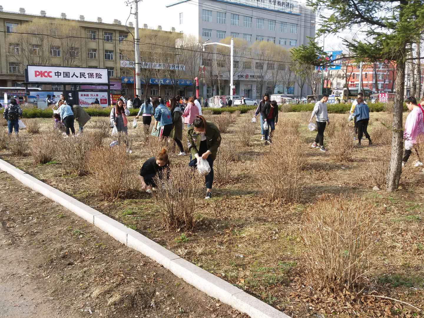 我院組織學(xué)生黨員、入黨積極分子開展義務(wù)勞動
